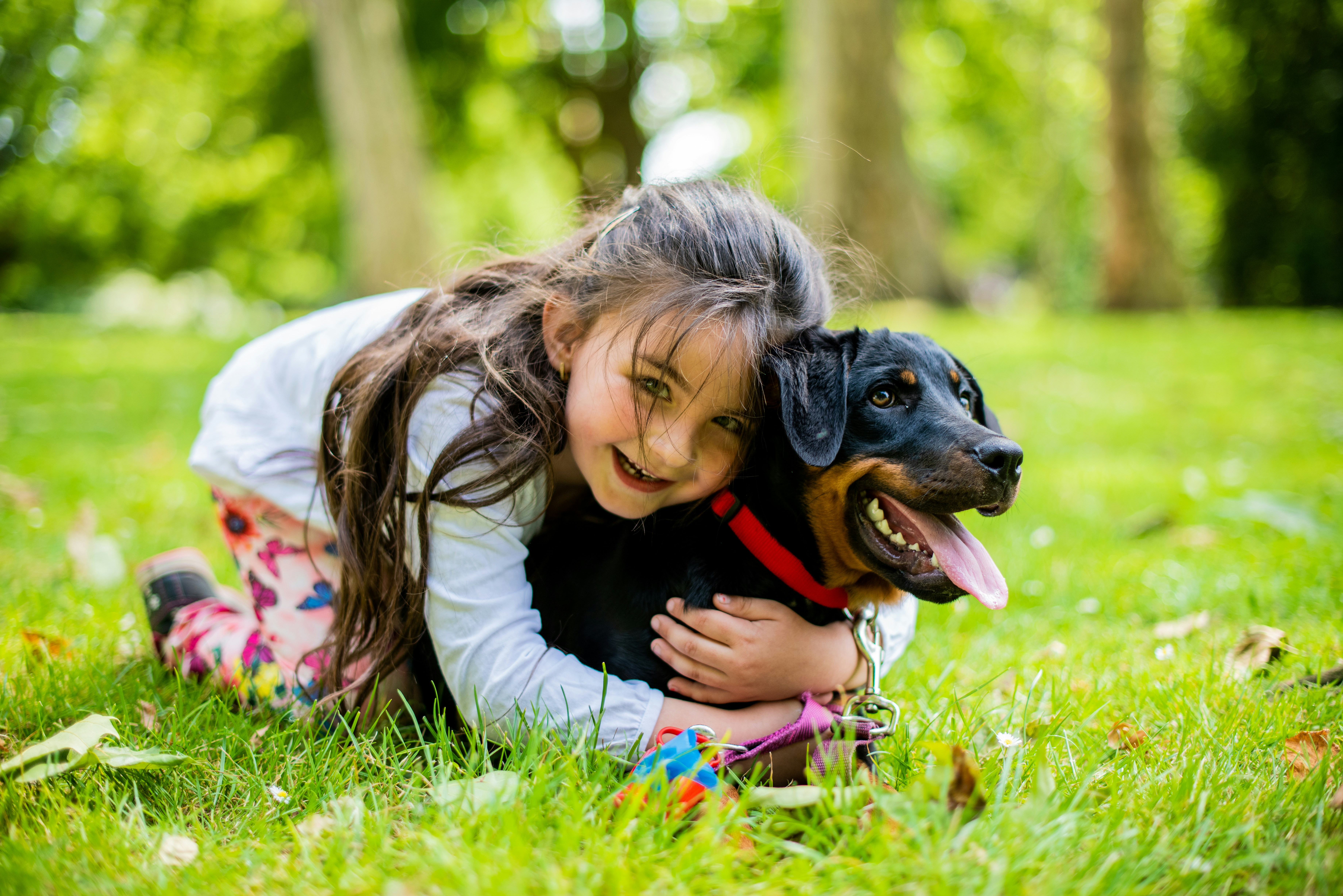 Safe Cannabis Storage Around Kids and Pets