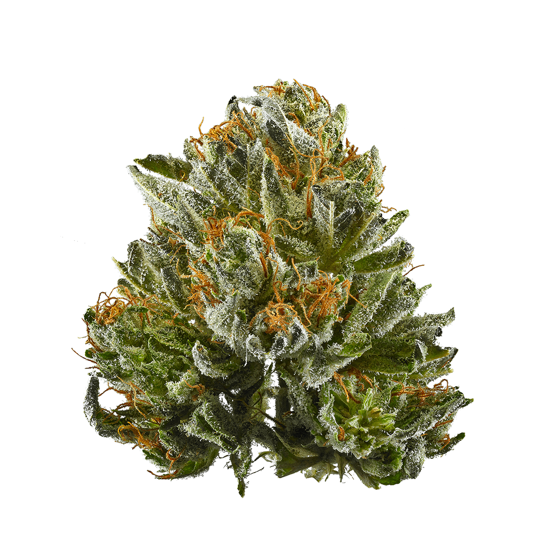 Bubba Kush strain image