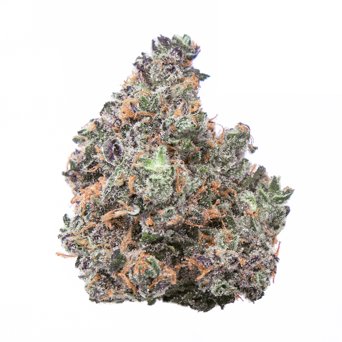 Candyland strain image