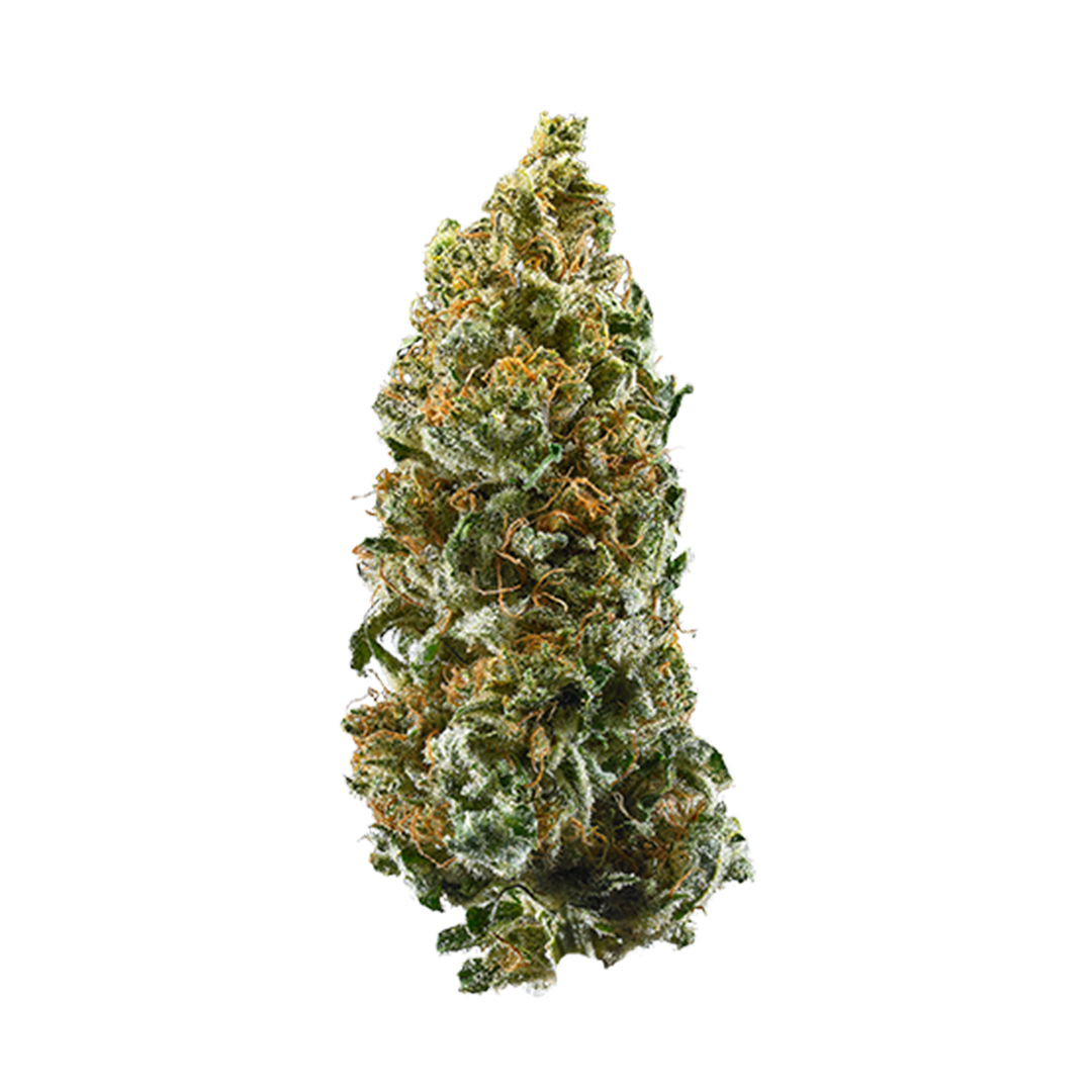 Cannatonic strain image