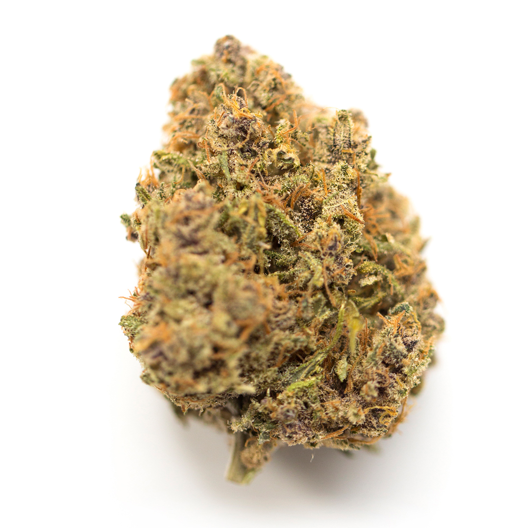 Critical Mass strain image