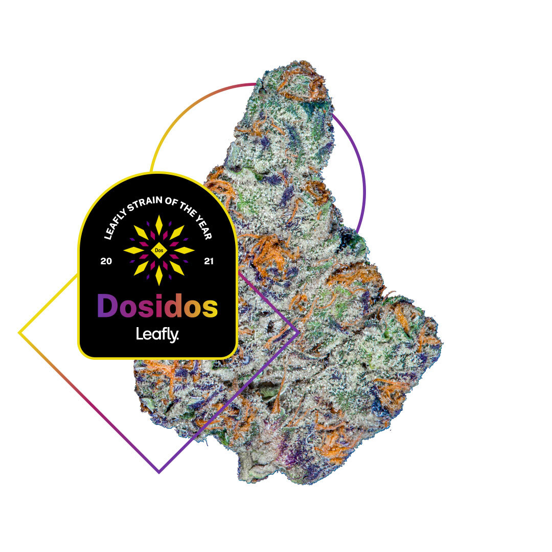 Do Si Dos strain image