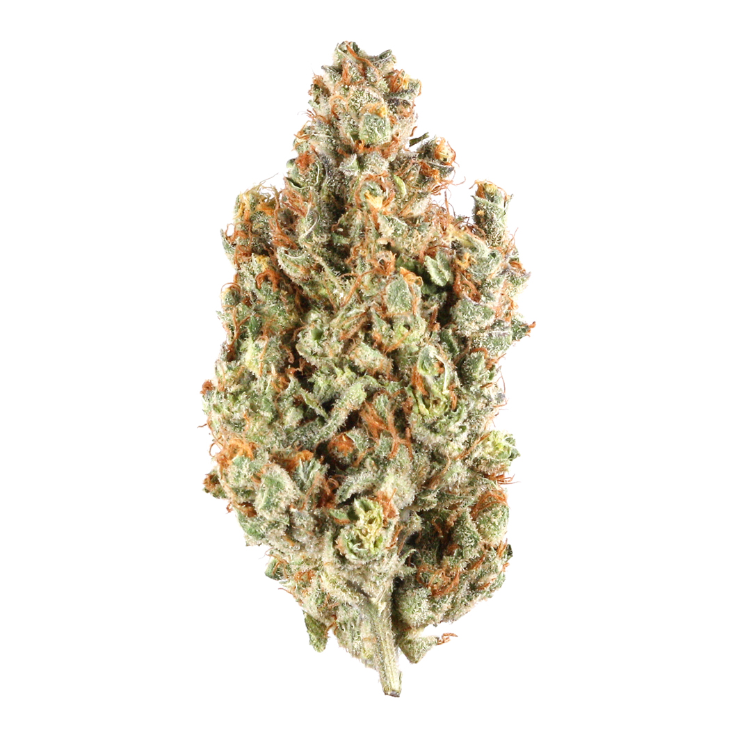Dream Queen strain image