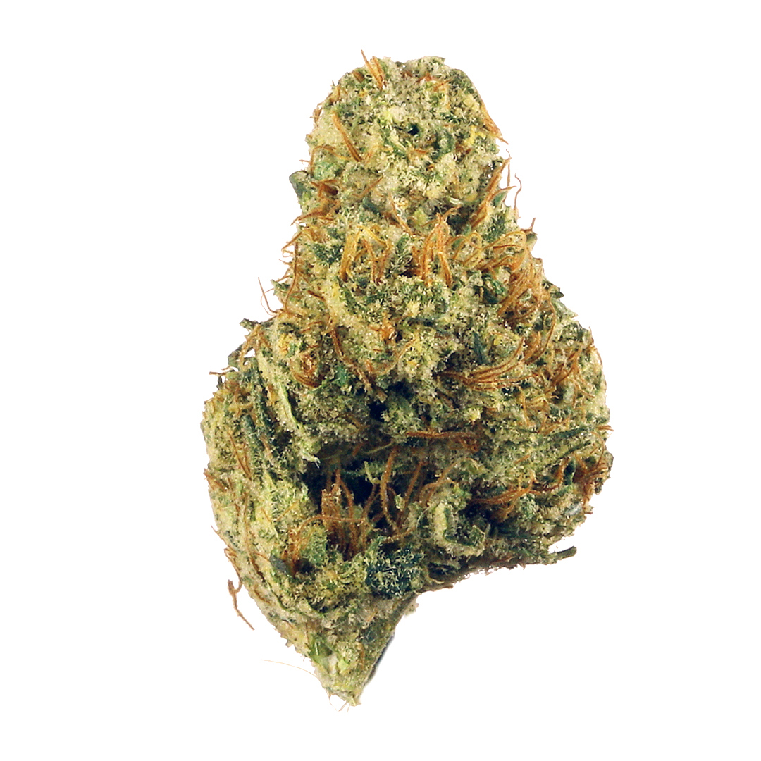 Dutch Treat strain image