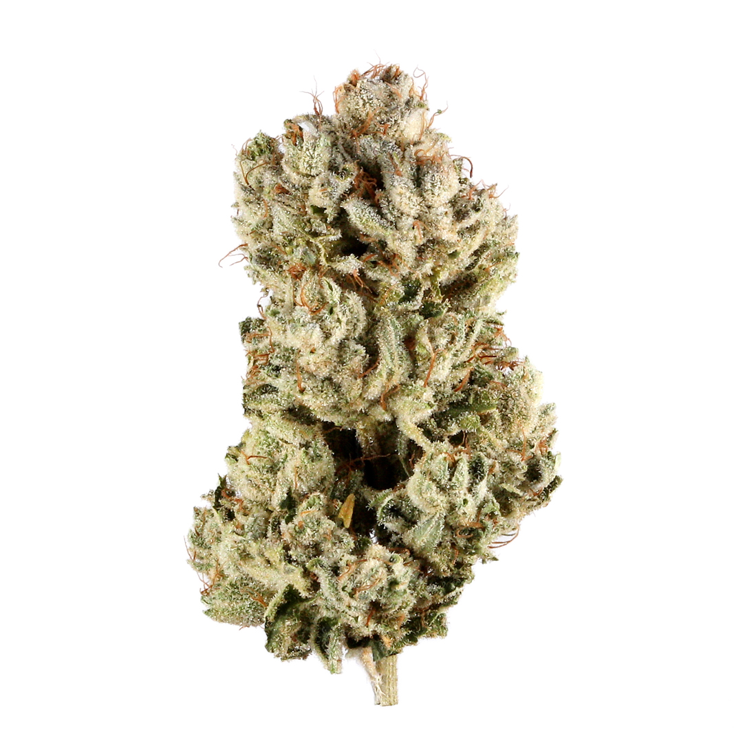 Gg 4 strain image
