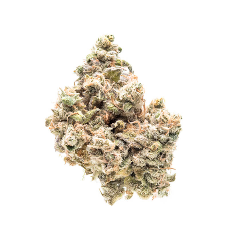 Grape Stomper strain image