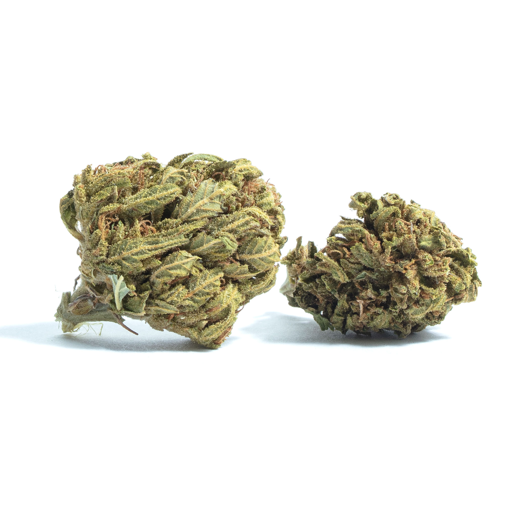 Green Ribbon strain image