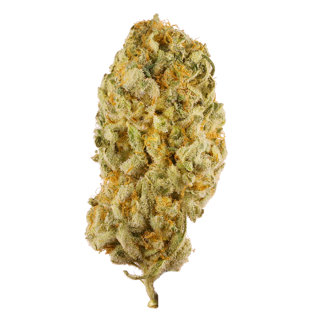 Jack Herer strain image