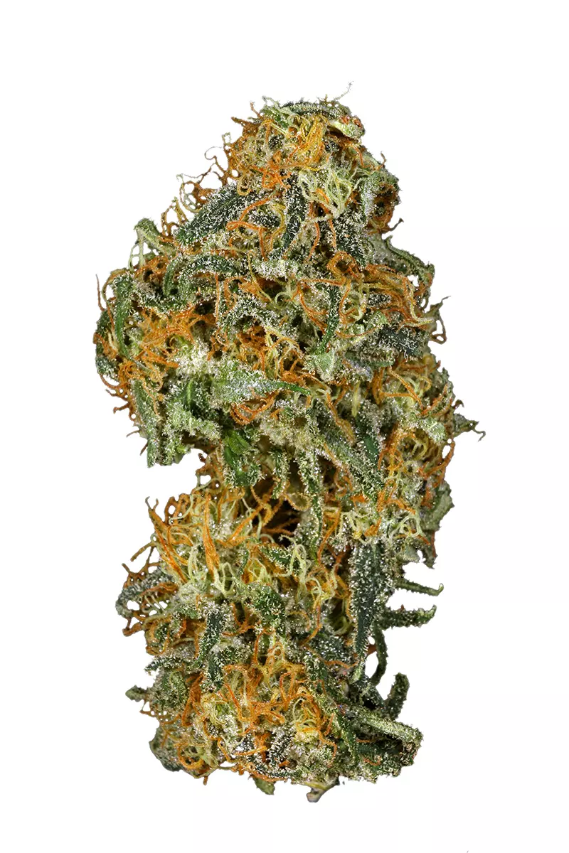 Jacks Cleaner strain image