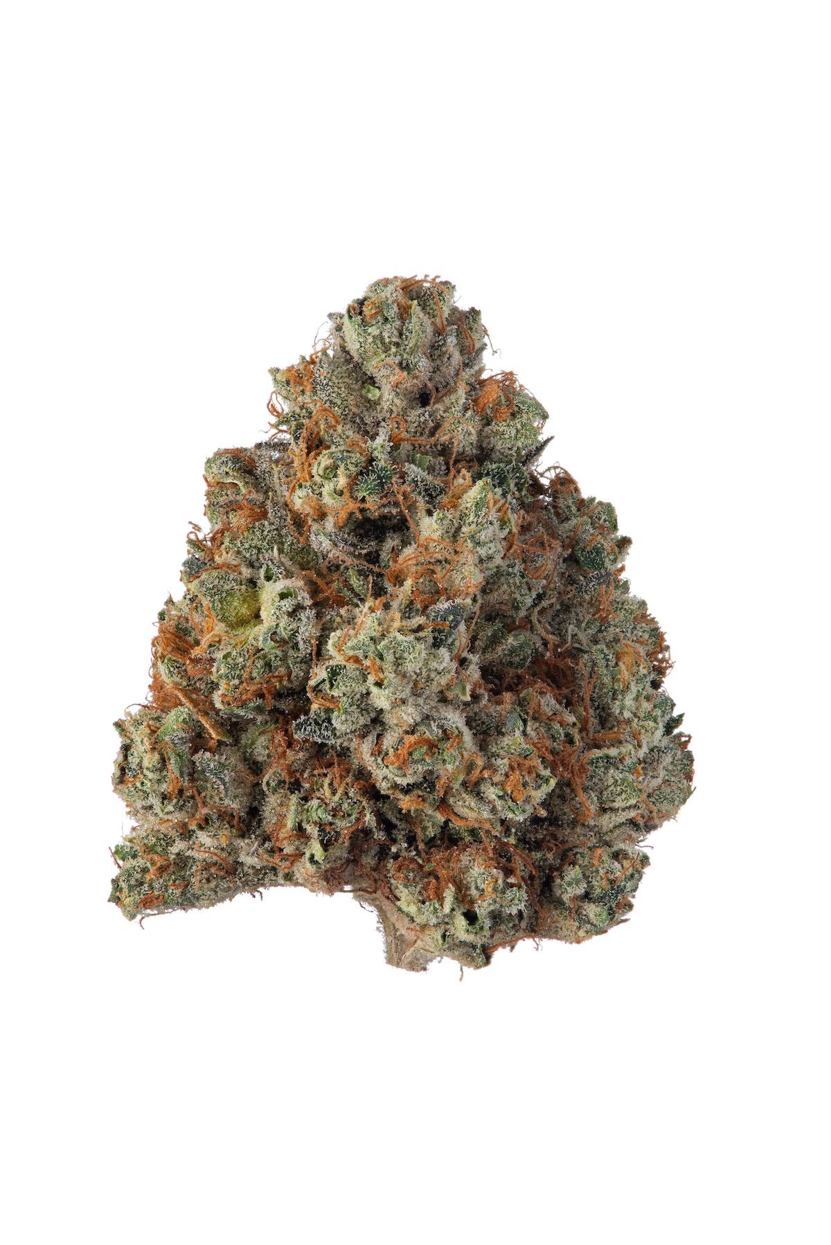 Khalifa Kush strain image