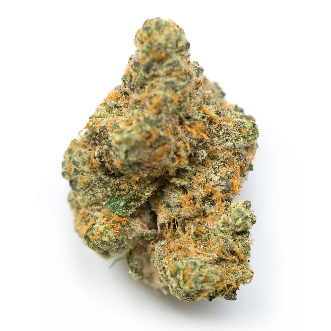 Moby Dick strain image