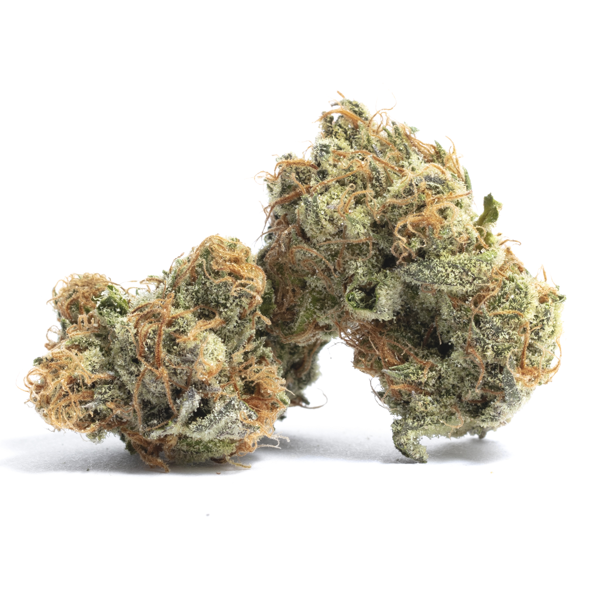 Peyote Cookies strain image