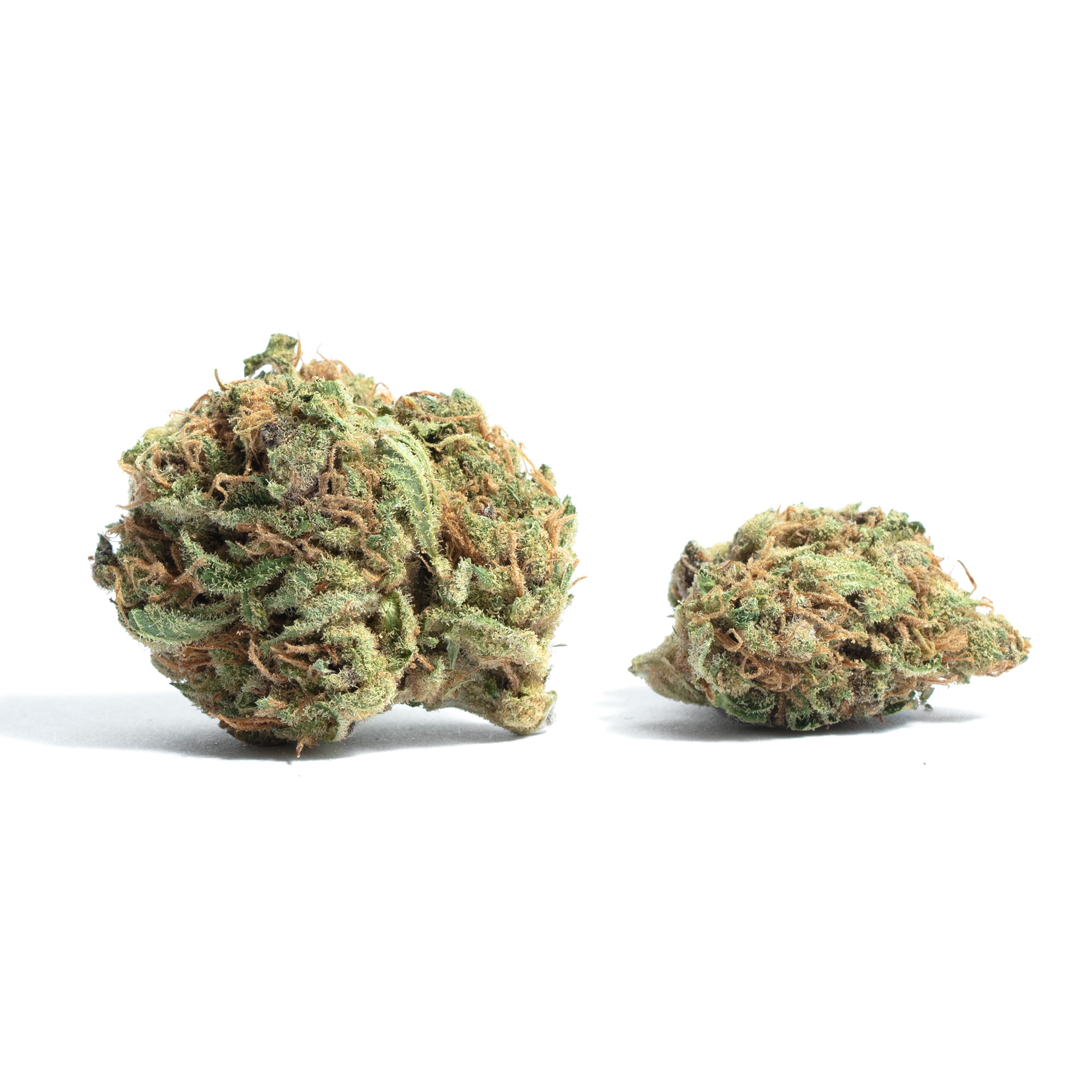 Plushberry strain image