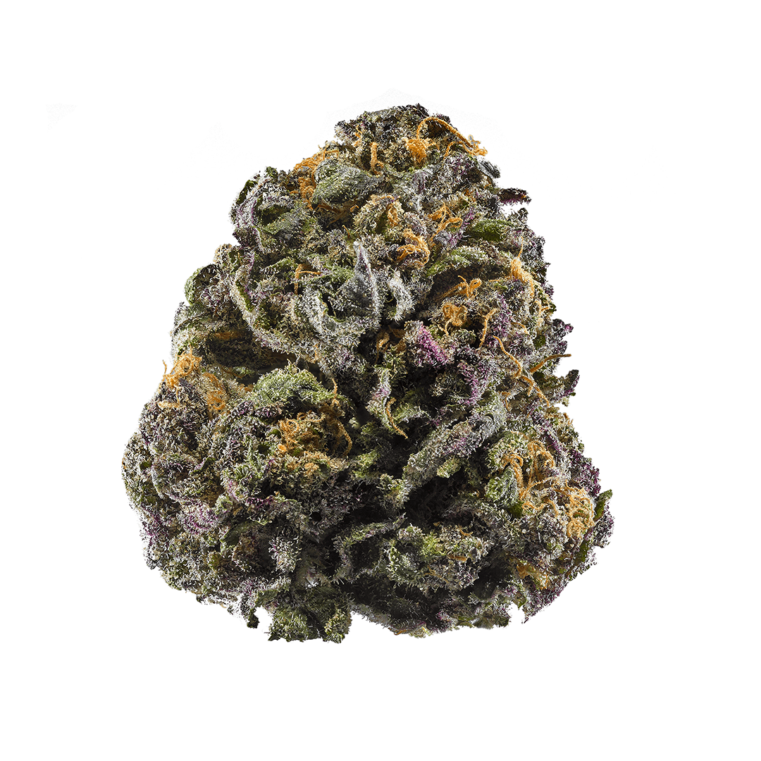Purple Afghani strain image