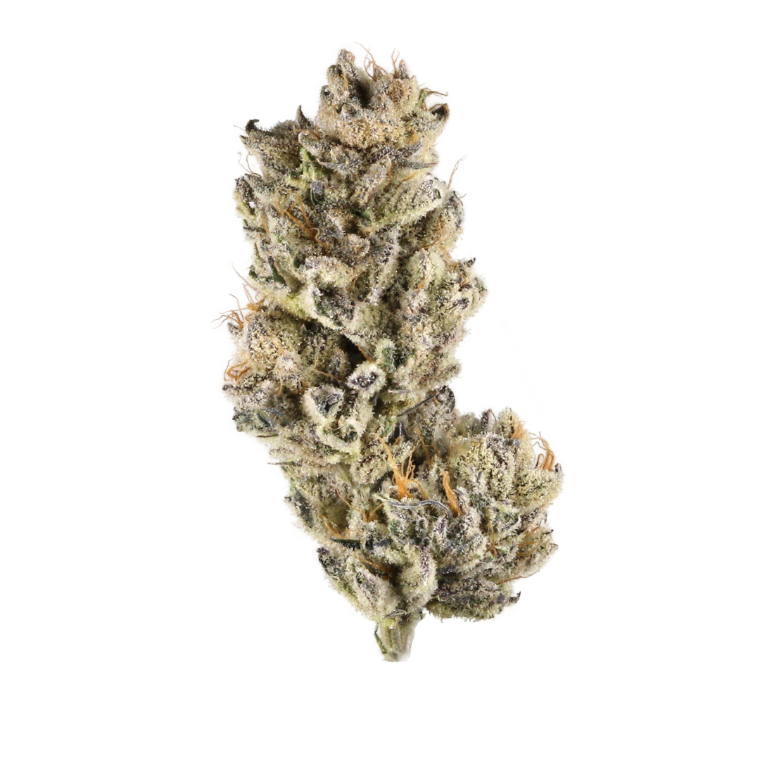 Purple Punch strain image