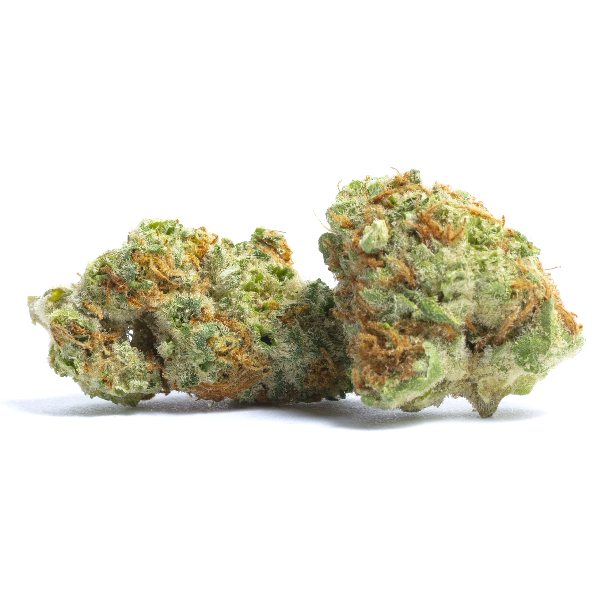 Red Dragon strain image