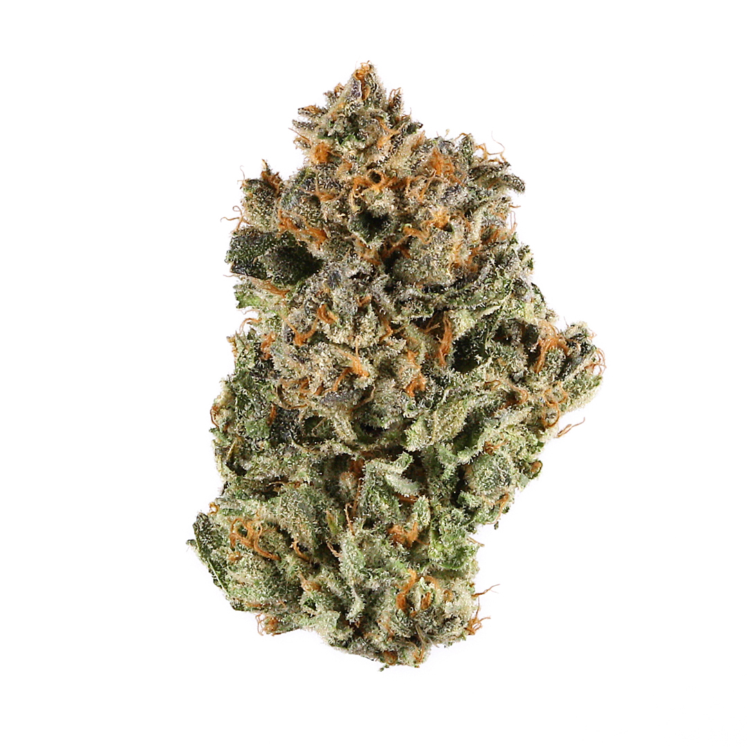 Sherbert strain image