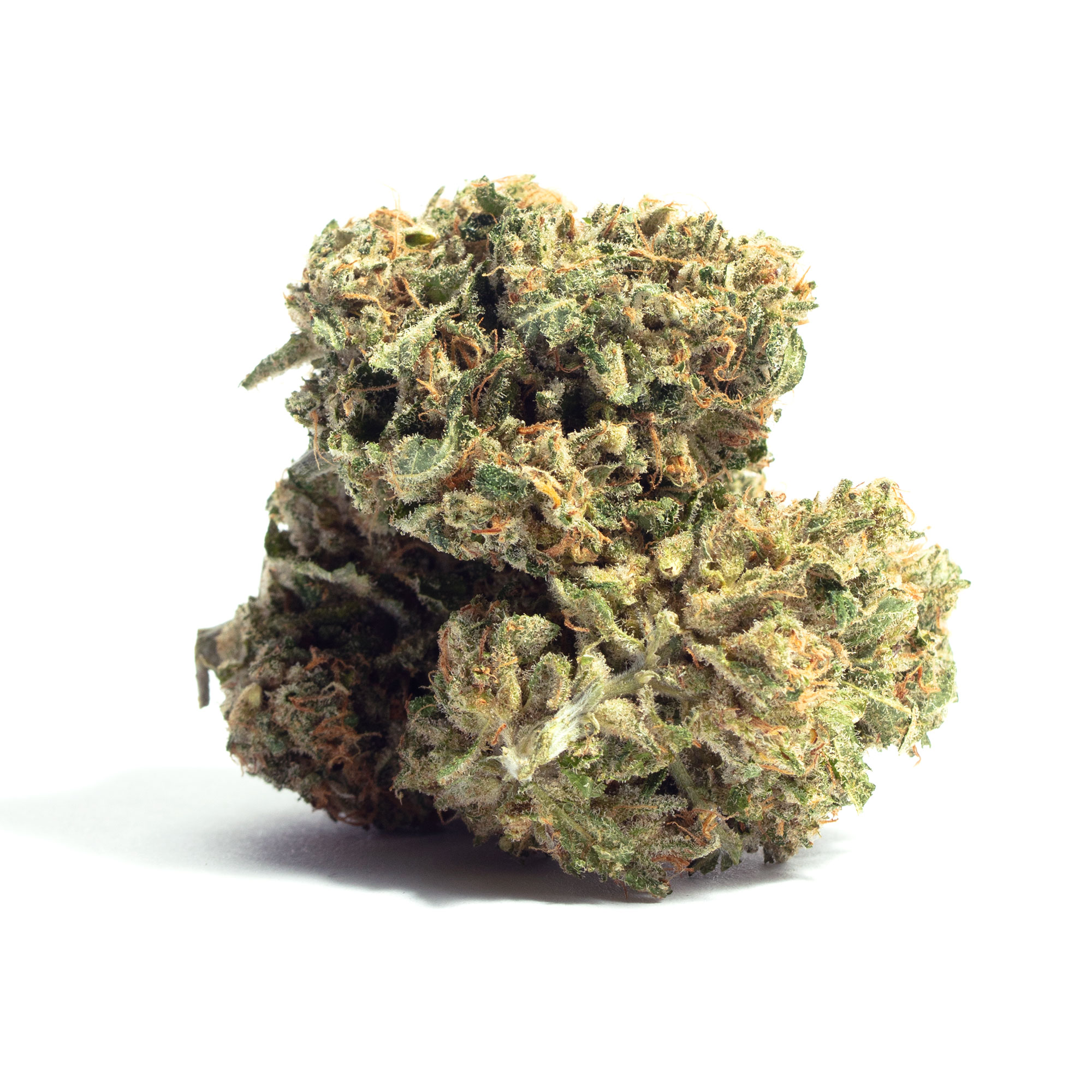 Sour Tsunami strain image