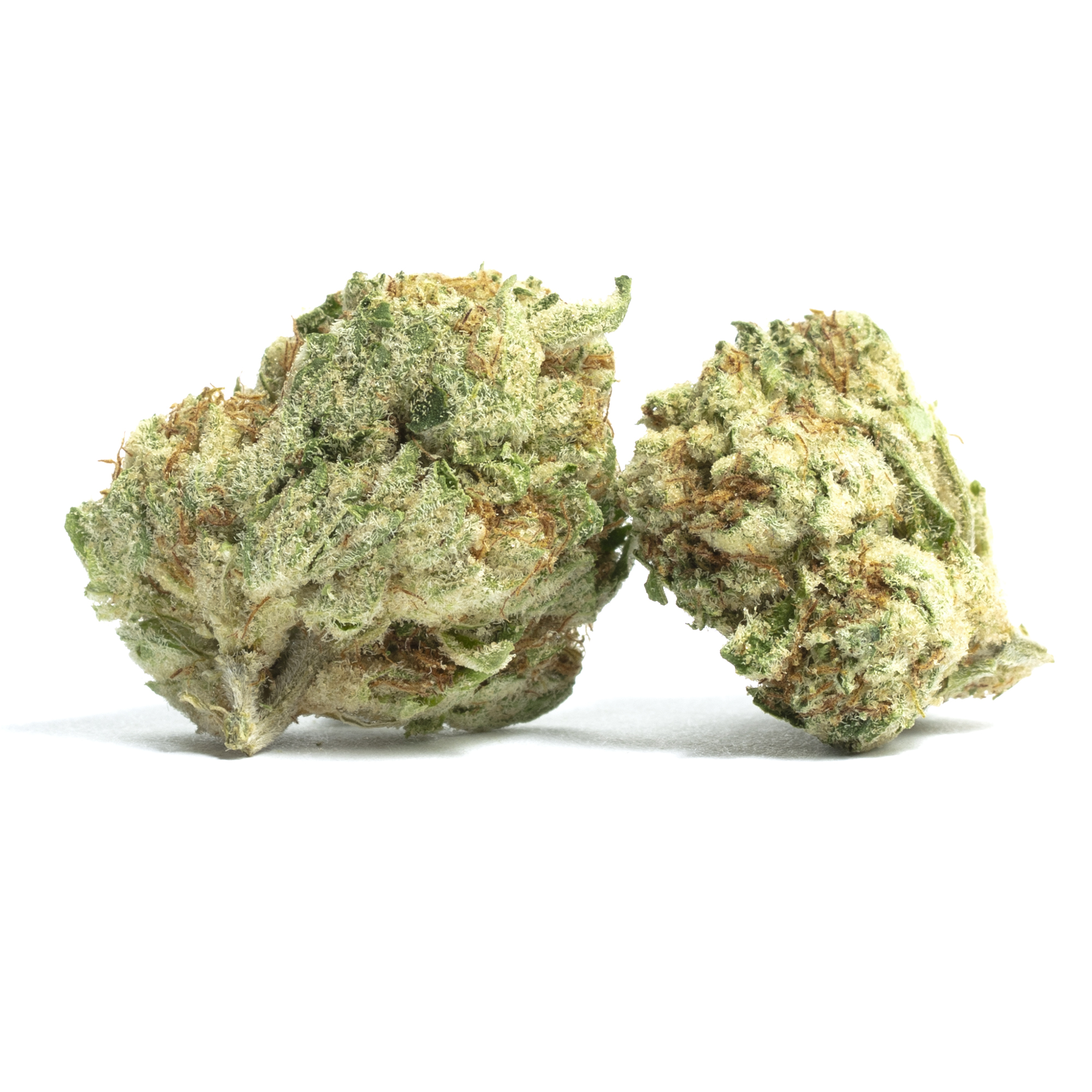 The White strain image