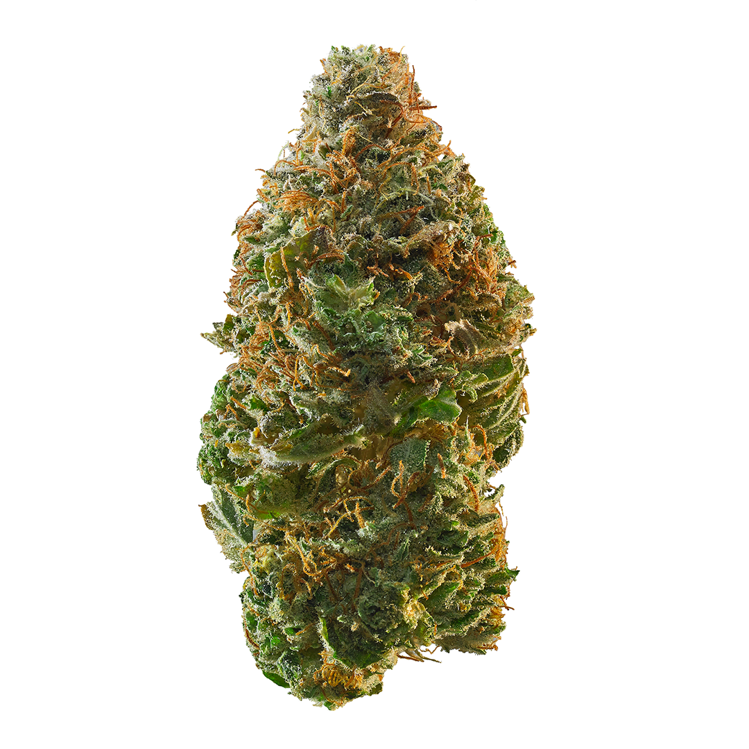 Trainwreck strain image