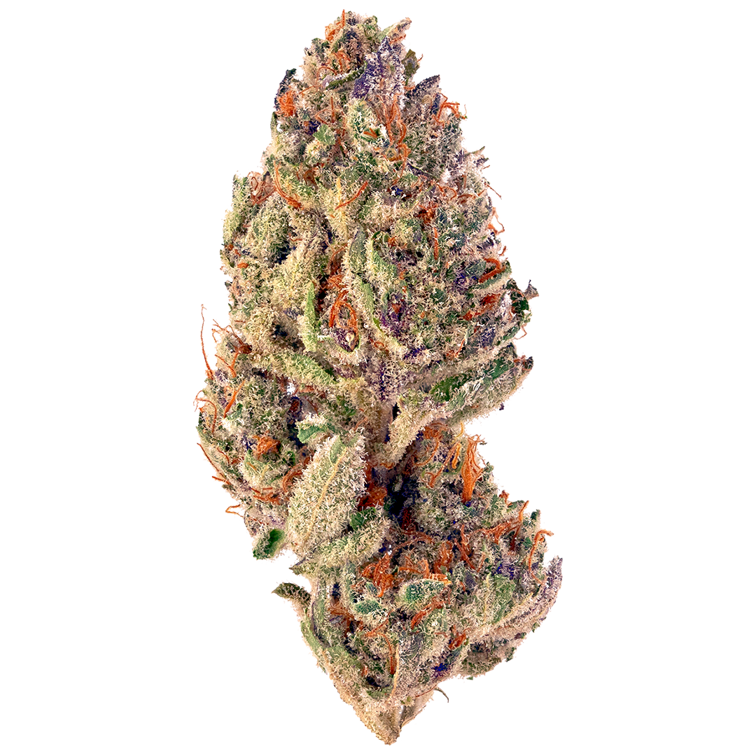 Tropicana Cookies strain image