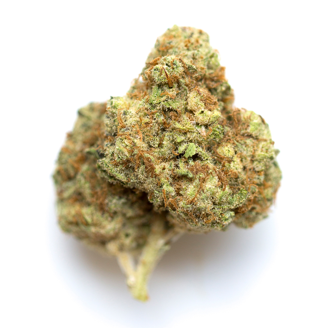 Watermelon strain image